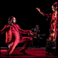 Photo of Compania Flamenca: Eduardo Guerrero