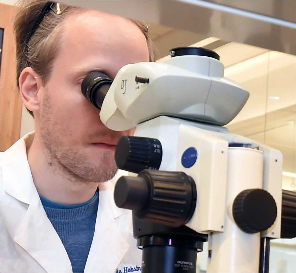 Photo of faculty member looking through microscope