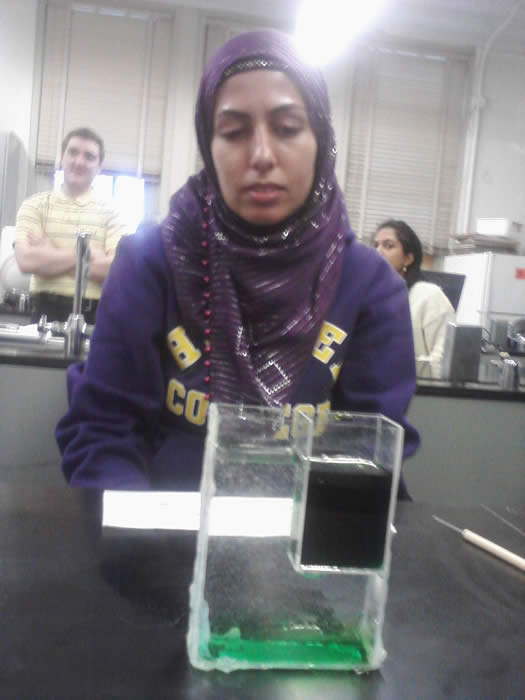 The saline oscillator