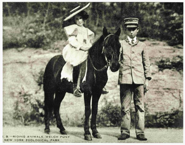 Image of girl riding a pony while a boy holds the reins.