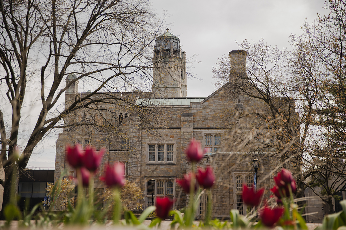 Purchasing Image Tile