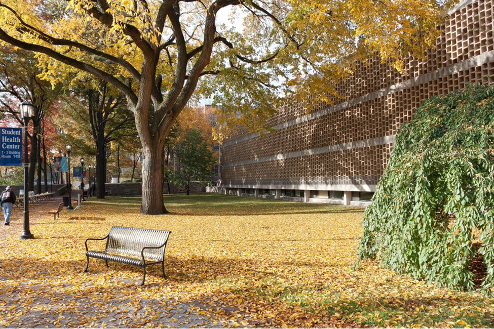 Ceremony Conduct Guidelines