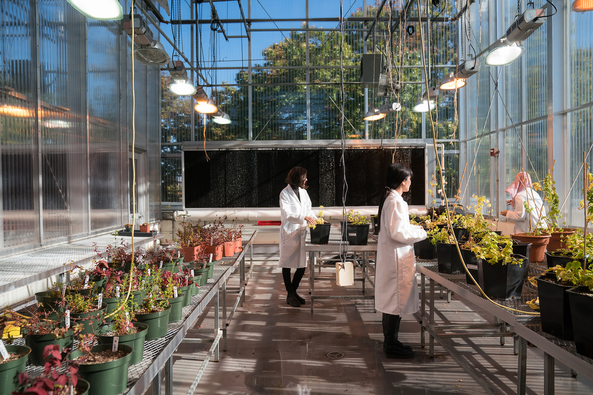 Photo of students taking care of plants