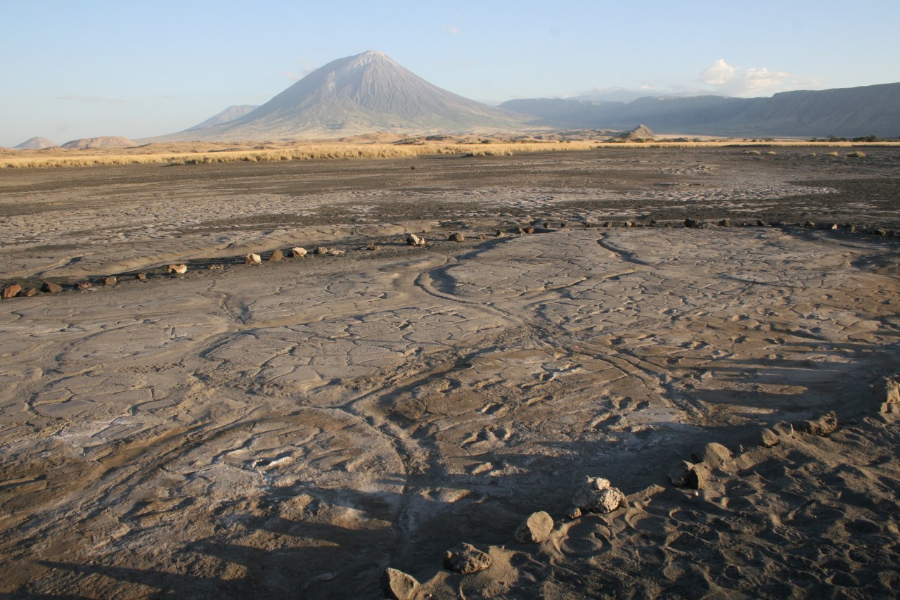 New Study of Ancient Footprint Site