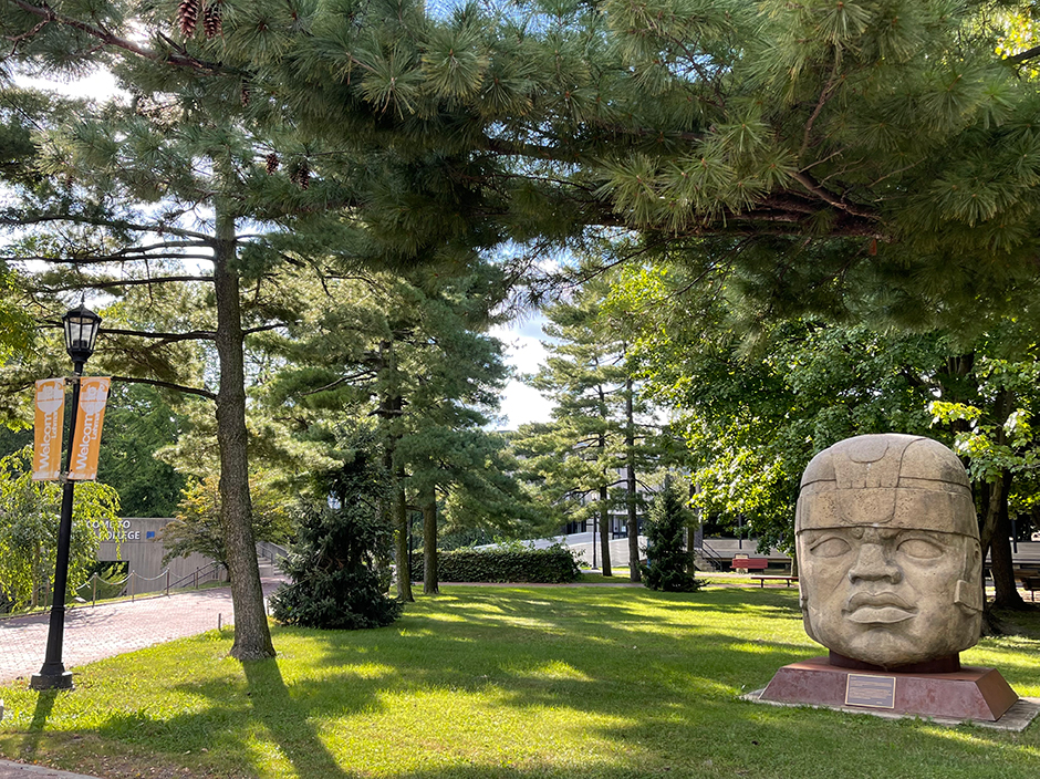 Statue of Olmec head on grass under trees