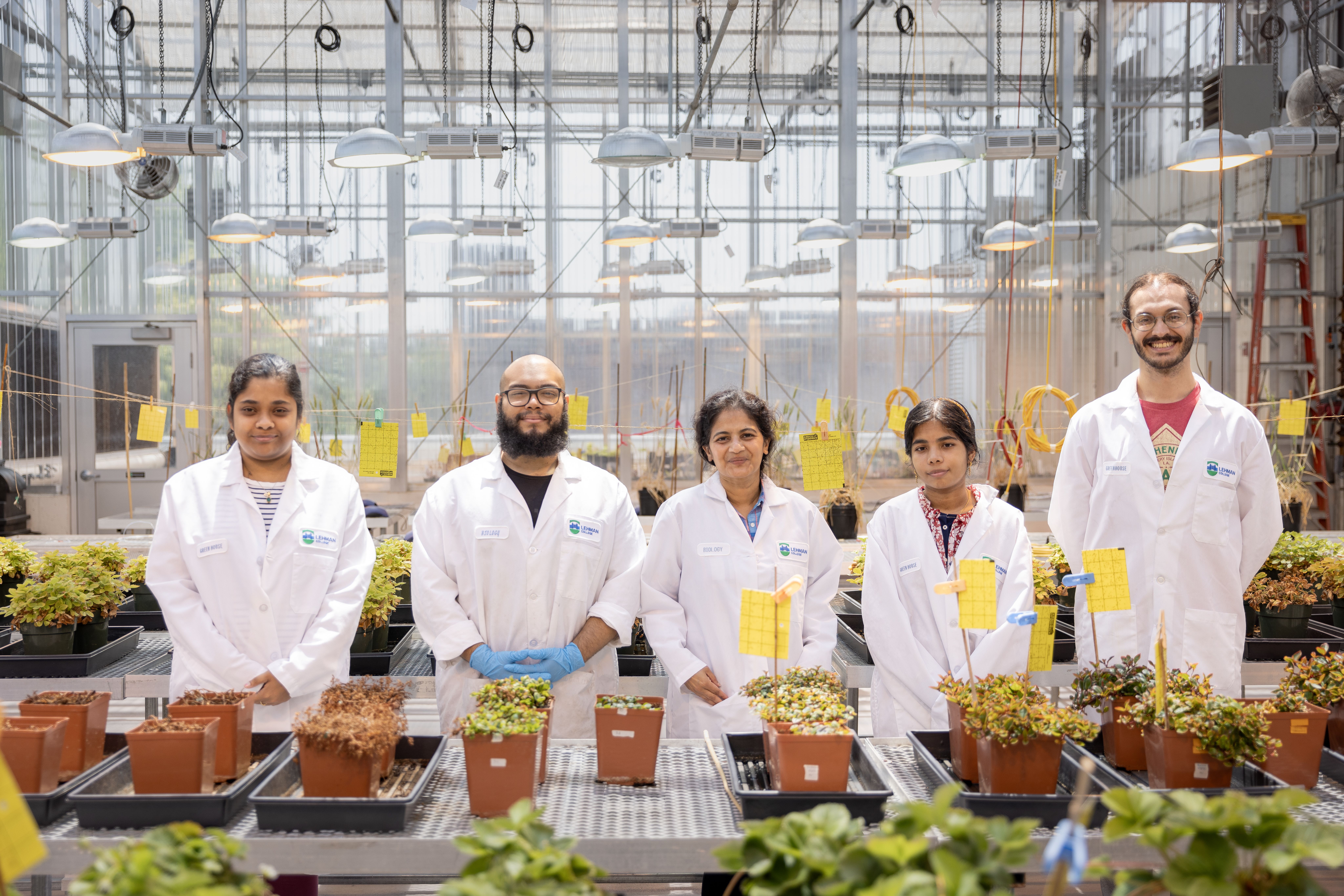Researchers in the Greenhouse in 2023 Summer
