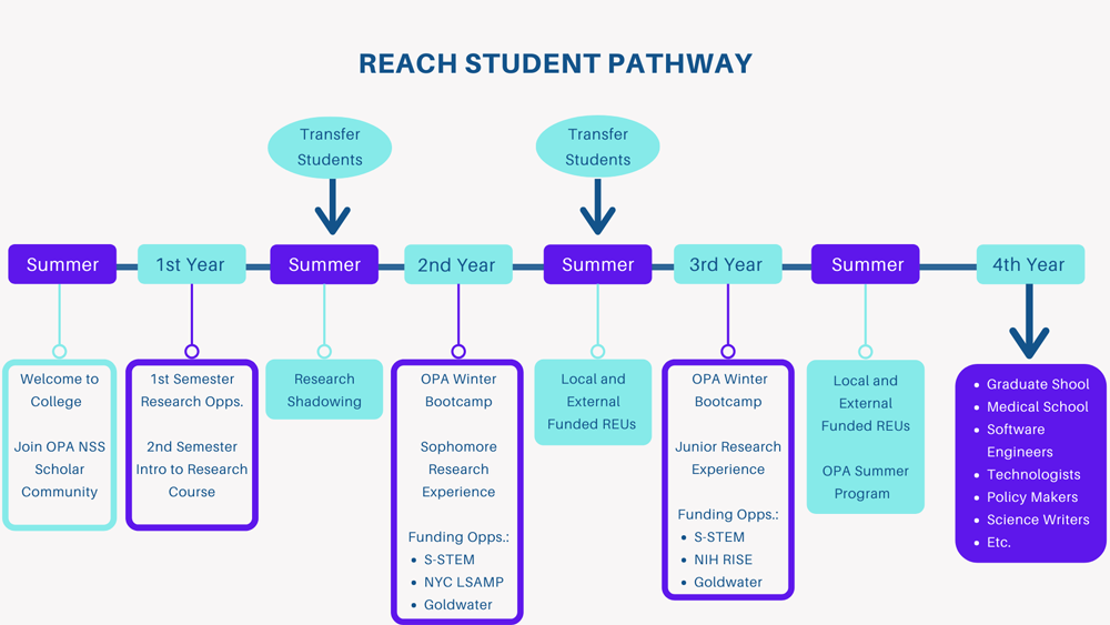 Student Pathway Graphic