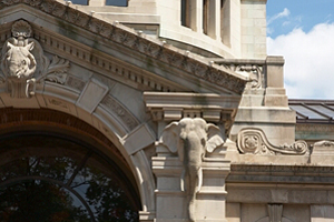 Bronx Zoo Wildlife Conservation Society thumbq