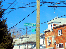 Bronxdale