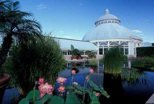 The New York Botanical Garden