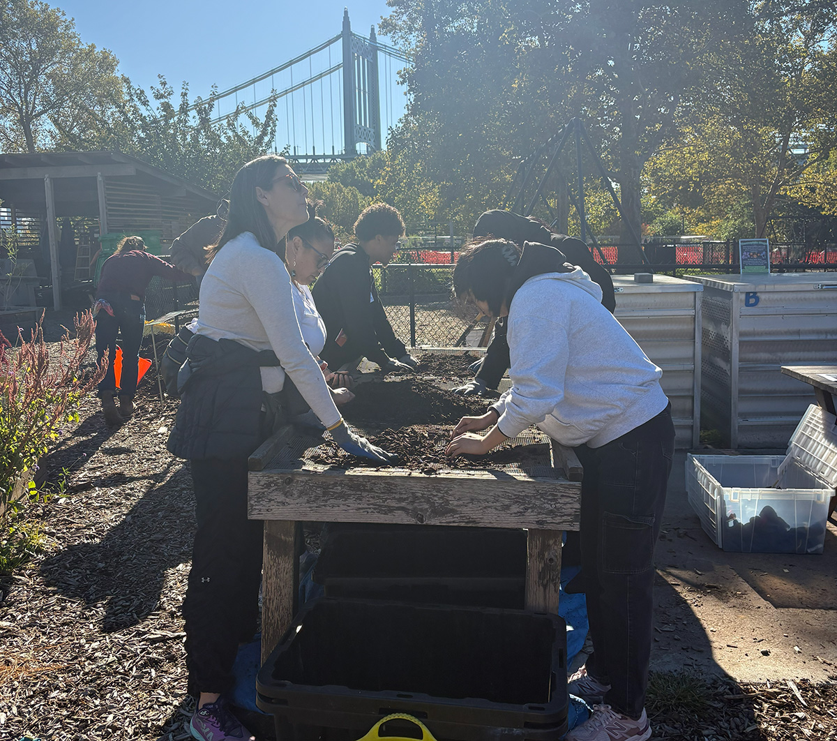 People sifting soil and compost outdoors at a community garden near a bridge