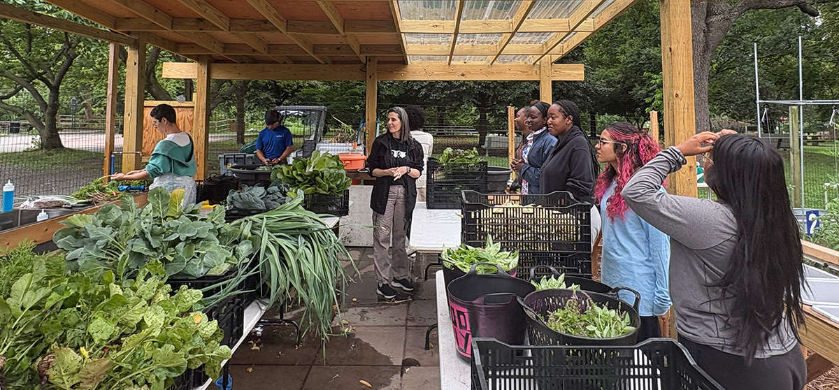 People gathering under a wooden structure filled with harvested produce and leafy greens.