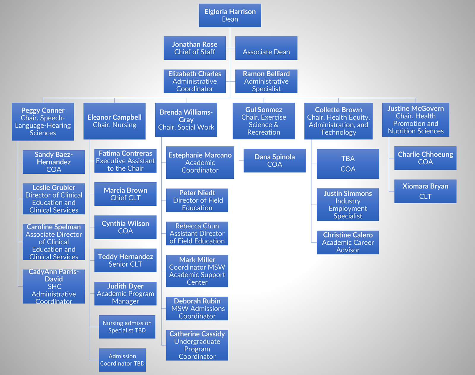 Photo of Organizational Chart for School of Health Sciences, Human Services and Nursing