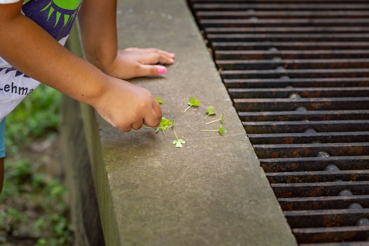 LS 135-2024 Summer Camp