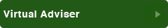 Virtual Adviser