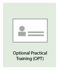 Optional Practical Training regulations