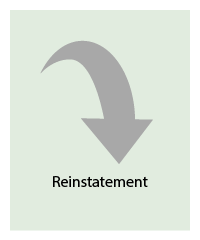 Reinstatement regulations